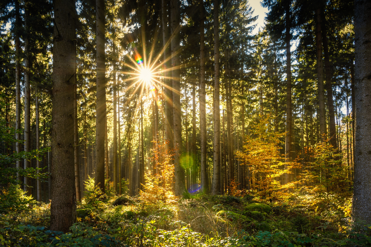 Explore Spring Top 8 Travel Destination to Explore During Spring Season - Flauntchic