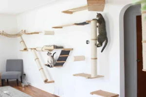 Indoor Cat Furniture Trends
