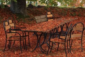 Table et chaises de jardin couvertes de feuilles mortes en automne